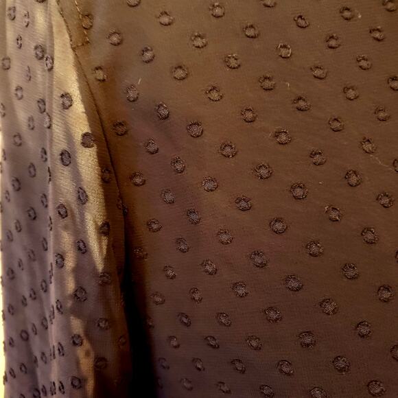 Talbots Blue Swiss Dot Blouse Sheer Long Sleeve Button Front | Size XL - Picture 7 of 11